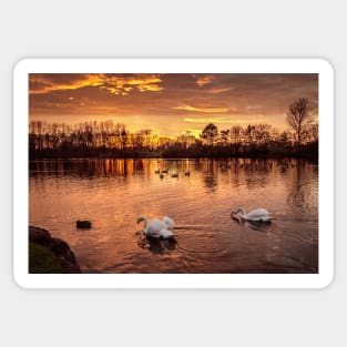 Nantwich Lake Sunset Sticker